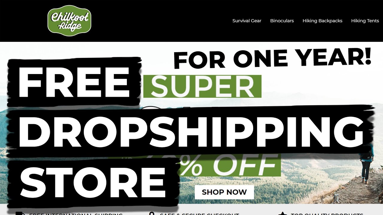 How To Create a Dropshipping Website for FREE (2023)