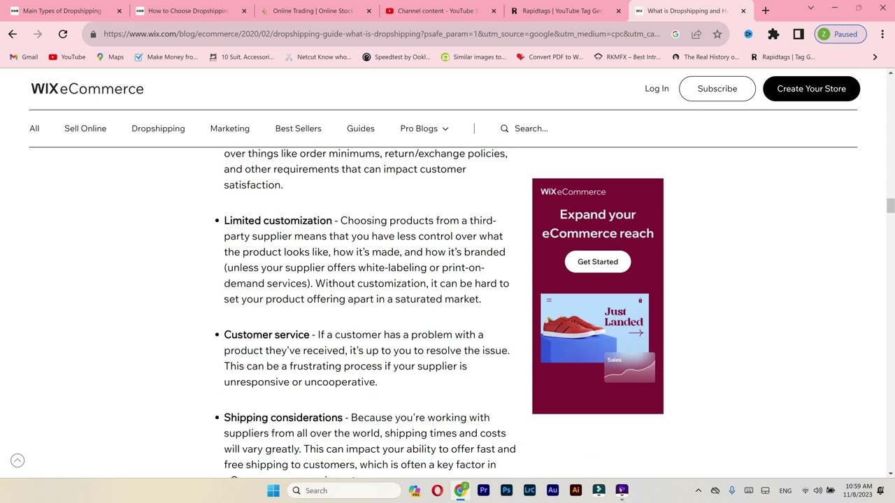 Dropshipping Limitations & Risks ?